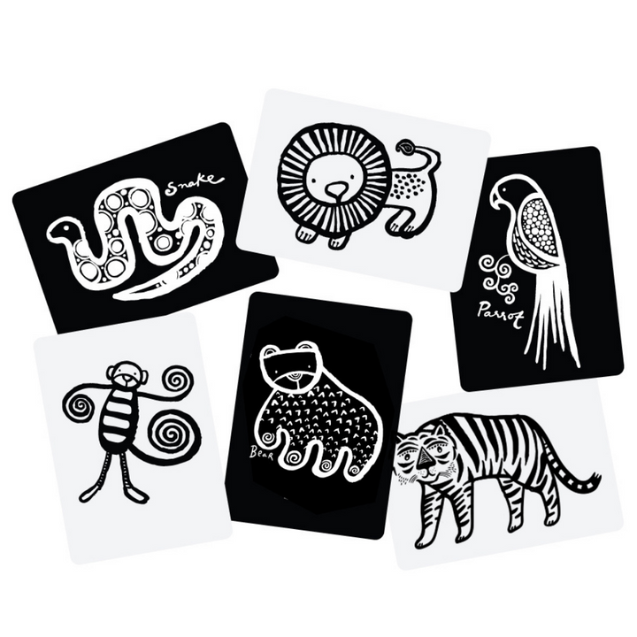 Wee Gallery Art Cards for Baby Jungle Animals