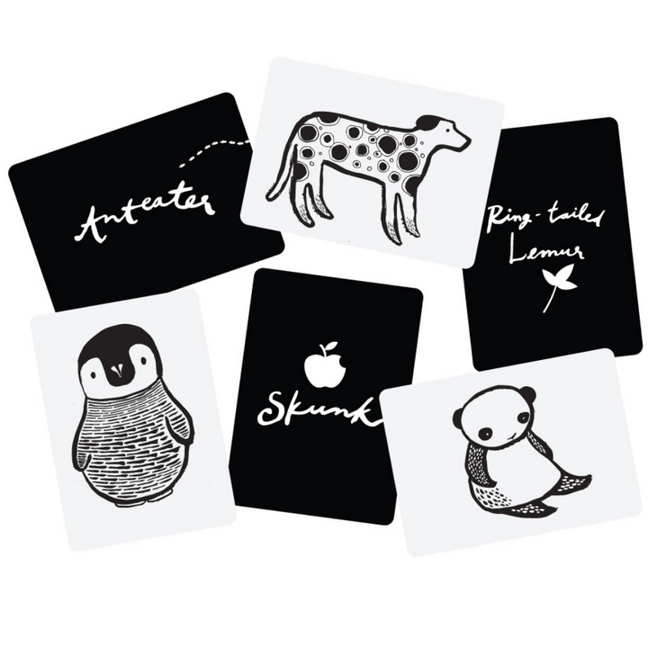 Wee Gallery Art Cards for Baby Black and White contrast Animals
