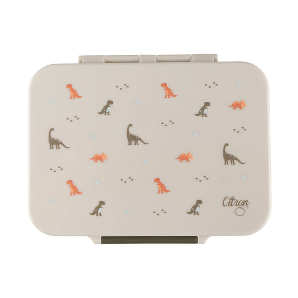 2022 Tritan Lunch Box - Dino