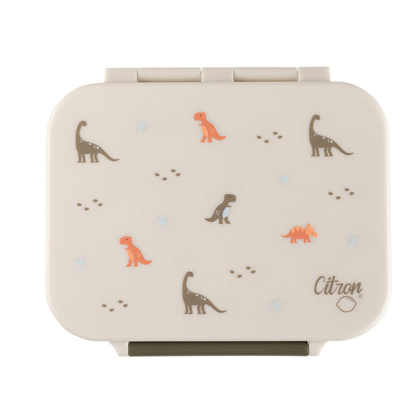 2022 Tritan Snack Box - Dino